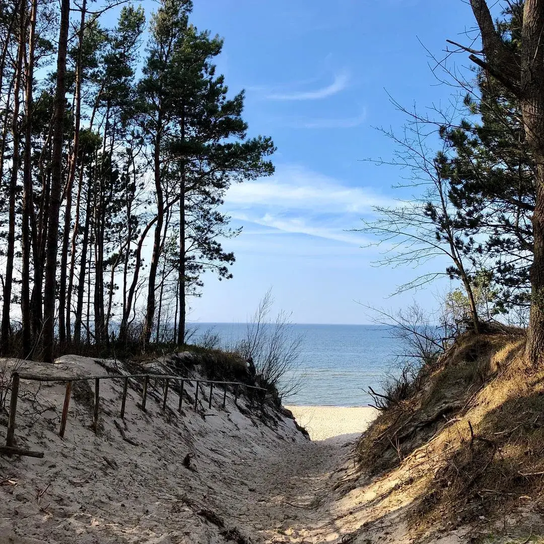 Sosnowa ścieżka do Bałtyku — 700m od domków 8 Sosen